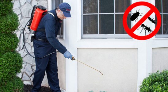 Bursa Tahtakurusu İlaçlama böcek ilaçlama ve haşere kontrolü — ilaclama-tr.com